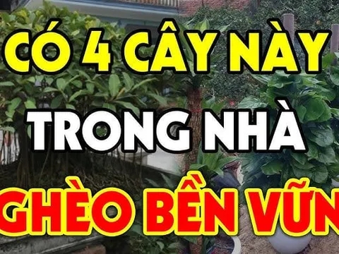 4 loại cây càng xanh tươi gia chủ càng nghèo khó khánh kiệt, ngày lụi bại không còn xa: Chặt ngay khi quá muộn