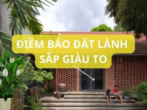 Tổ tiên căn dặn: Bỗng dưng vị khách này tới nhà thì đừng khó chịu, gia đình sắp giàu to, nghênh đón chu đáo