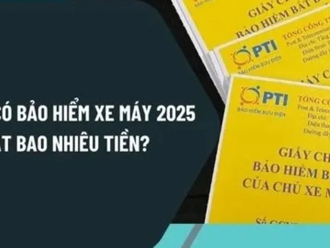 Lỗi không có bảo hiểm xe máy 2025 bị phạt bao nhiêu tiền? Phí bảo hiểm xe máy năm 2025 là bao nhiêu?