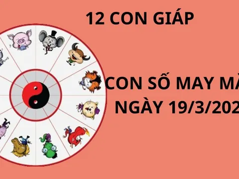 Tử vi ngày 19/3 con số may mắn cho 12 con giáp nhận lộc Thánh Cô, giàu sang đổi đời