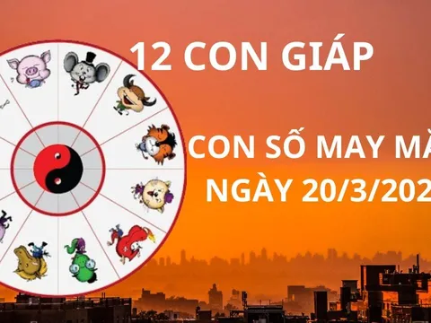 Tử vi ngày 20/3, con số may mắn Thần tài xả lộc cho 12 con giáp gặp cơ hội giàu sang