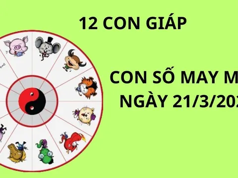 Tử vi ngày 21/3 con số may mắn số vàng tài lộc cho 12 con giáp gặp vận giàu sang bất ngờ