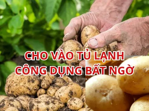 Khoai tây luộc xong cho vào tủ lạnh, công dụng bất ngờ cho sức khỏe, nhiều người sẽ tiếc giá như biết sớm hơn