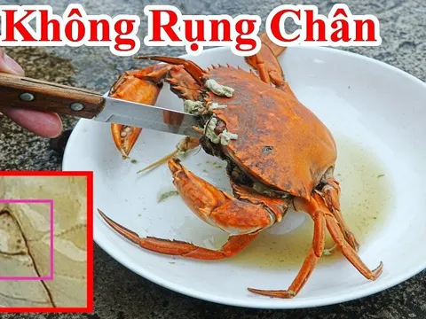 Luộc cua, ghẹ không rụng càng chỉ cần mẹo này vụng mấy cũng làm được hết