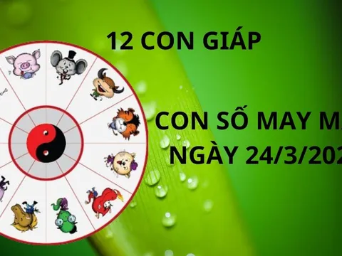 Tử vi ngày 24/3 con số may mắn cho 12 con giáp cơ hội hốt vàng gánh bạc về nhà