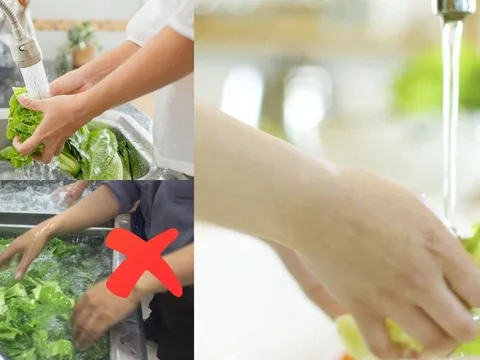 Tại sao nhiều người không còn ngâm rau nước muối nữa? Đây mới là cách mà người nội trợ đảm ngày nay áp dụng