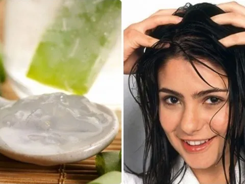 Lấy loại lá này bôi lên đầu: Tóc con mọc tua tủa, lại sạch gàu, khỏe mạnh, Việt Nam có rất nhiều