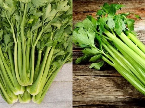 Loại rau ít thuốc trừ sâu, phụ nữ sau 40 tuổi nên ăn để nội tiết dồi dào