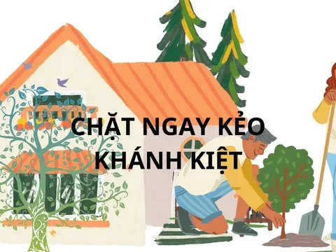 Người xưa dặn: 2 cây này trồng trước nhà rước vận xui chuyển ra sau nhà trấn giữ của cải, gia đình giàu có