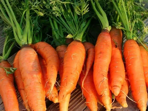 Loại củ chứa nhiều vi nhựa nhất: Người Việt ăn hàng ngày mà không hề hay biết