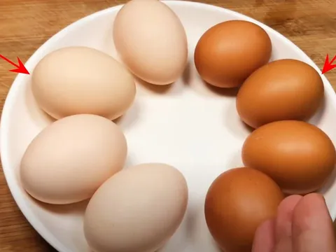 Mua trứng gà, chọn loại vỏ trắng hay vỏ nâu sẽ tốt hơn?