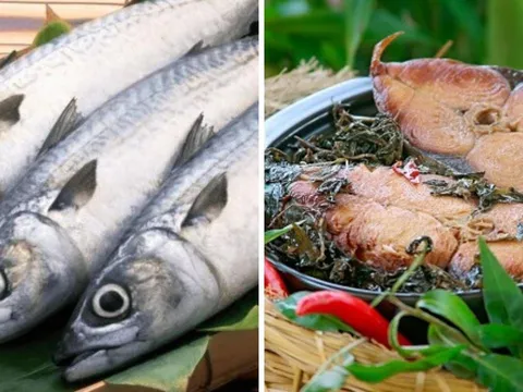 Kho cá biển cứ thả loại rau gia vị này vào: Cá to hay nhỏ cũng ngon, đậm vị hấp dẫn