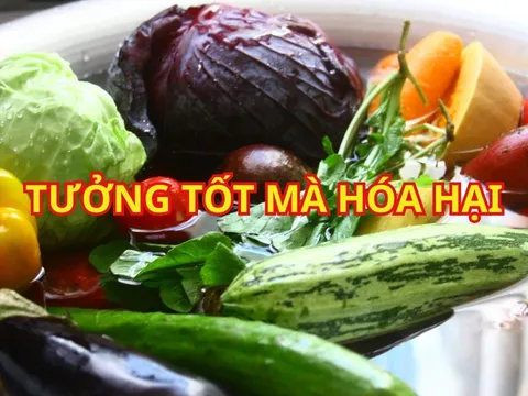 Ngâm rau sống nước muối tốt hay hại? Mách bạn 6 mẹo "vàng" dễ làm, hiệu quả hơn