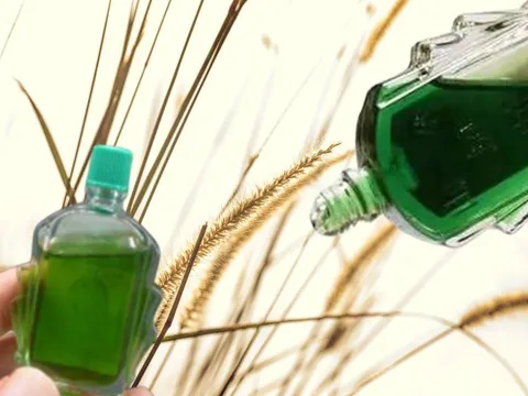 Lọ dầu gió hết đừng vứt đi mà phí, mách bạn 5 công dụng tuyệt vời nhà nào cũng cần