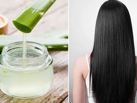 Việt Nam có một loại lá đặc biệt giúp giảm rụng tóc, tóc mọc nhanh trông thấy, mượt hơn dùng dầu xả
