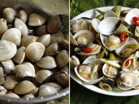 Mẹo làm ngao nhả sạch cát nhanh nhất, không cần ngâm