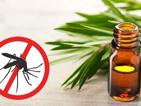 7 cách đuổi muỗi tự nhiên không cần dùng hóa chất