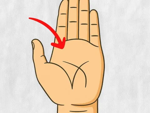 Ai may mắn sở hữu đường chỉ tay này: Sớm muộn cũng thành công giàu có hơn người