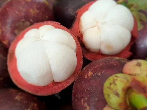 Những ai không nên ăn măng cụt?