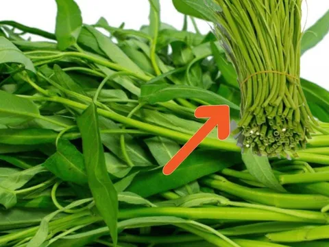 2 cách chế biến cọng rau muống già cực ngon, lạ miệng đổi bữa cho gia đình, đừng vứt bỏ mà lãng phí