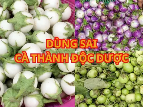 3 thói quen ăn cà khiến "1 quả cà tốn 3 thang thuốc". Mách mẹo tránh biến món cà pháo ngon thành độc dược