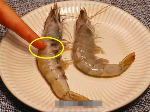 Đi chợ nên chọn tôm thẳng hay tôm cong? Muốn mua tôm tự nhiên phải biết mẹo này