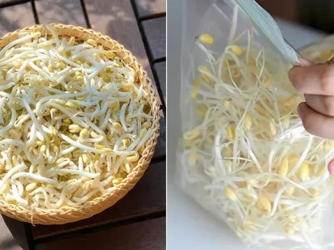 Giá đỗ mua về đừng bỏ ngay vào tủ lạnh, làm theo cách này để cả tuần vẫn tươi ngon