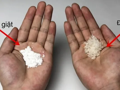 Trộn đường trắng với bột giặt đem rắc quanh nhà, hiệu quả "vàng mười" ai cũng thích