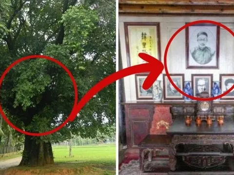 Ngoài cổng không trồng 4 cây, vào nhà gỡ xuống 3 vật: Là cây gì, vật gì?