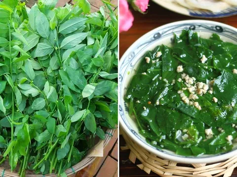 Rau ngót ngon - bổ - rẻ nhưng có 5 nhóm người không nên ăn