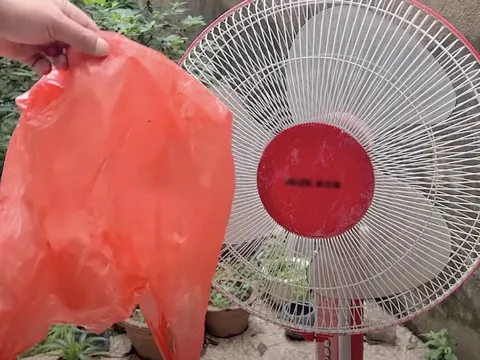 Vệ sinh quạt điện không cần tháo khung, làm theo cách này là loại bỏ hết bụi bẩn