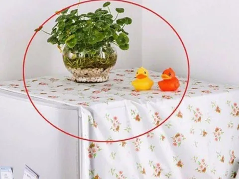 3 vật tuyệt đối không đặt trên nóc tủ lạnh, tổ tiên cảnh báo: Tiền bạc đội nón ra đi, gia đạo lụi bại