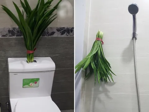 Đặt bó lá này trong nhà vệ sinh: Cả tuần không có mùi hôi, đuổi sạch đàn muỗi, dĩn