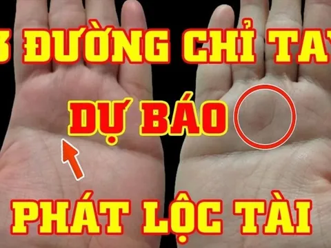 Xoè bàn tay rồi đếm đường chỉ tay: Ra đúng số này làm ăn phất mạnh, giàu to
