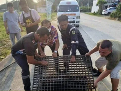 Nghe tiếng kêu dưới cống thoát nước, người dân chạy đến kiểm tra thì chứng kiến cảnh tượng không ngờ
