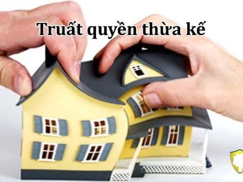 ４ Trường hợp con cái bị truất quyền thừa kế khi cha mẹ qua đời: Đó là trường hợp nào?