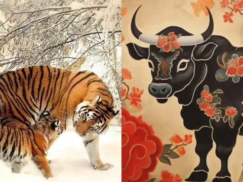 2 con giáp đại phát đổi vận giàu sang và 2 con giáp xui rủi vì Thái Tuế từ nay đến cuối 2025