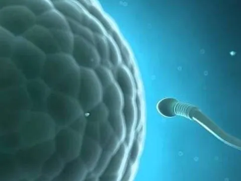 Nam giới nên xuất binh 3–5 ngày/lần: Lợi ích bất ngờ cho sức khỏe sinh lý & tinh thần