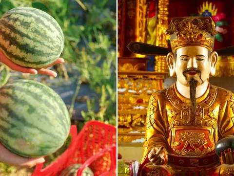 Vùng đảo hoang Mai An Tiêm trồng dưa hấu hiện giờ ở đâu?