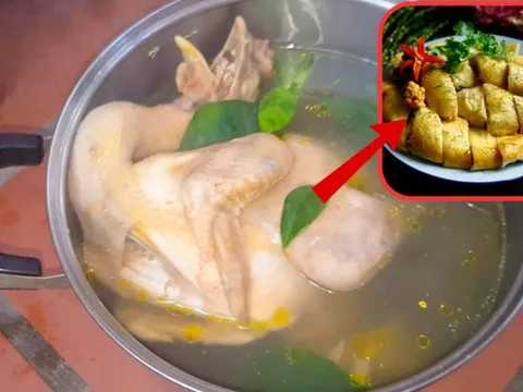 Luộc gà cùng nước lã vừa tanh vừa đỏ, thêm nắm lá này gà vàng ươm, chín đều ngọt thịt