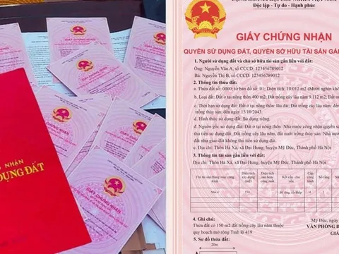 Năm 2025: Không có hộ khẩu có được cấp sổ đỏ không?