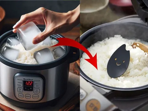 Thả viên đá lạnh vào nồi nấu cơm: Cơm để cả ngày vẫn dẻo ngon, giữ 90% dinh dưỡng