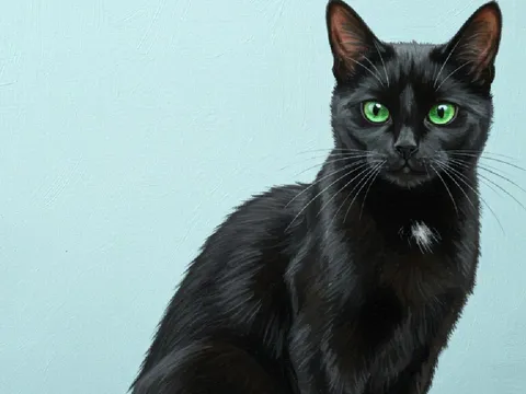 20 ngày cuối tháng 5, 3 tuổi trúng Lộc Thần Tài, làm gì cũng ra tiền