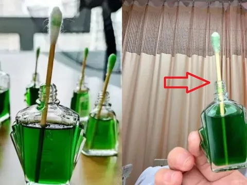 Cắm tăm bông vào lọ dầu gió rồi đặt đầu giường: Đơn giản mà cả nhà hưởng lợi