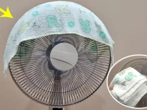 Đắp chiếc khăn vào quạt: Cả nhà mát rượi, ngủ ngon lại tiết kiệm khối tiền điện