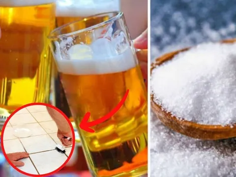 Đổ muối vào bia: 10 người thì 9 người thích, chúng có 4 công dụng tuyệt vời