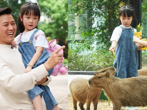 Con gái 5 tuổi của Quách Ngọc Tuyên “đốn tim” khán giả trong mùa mới “Bố ơi, mình đi đâu thế?”