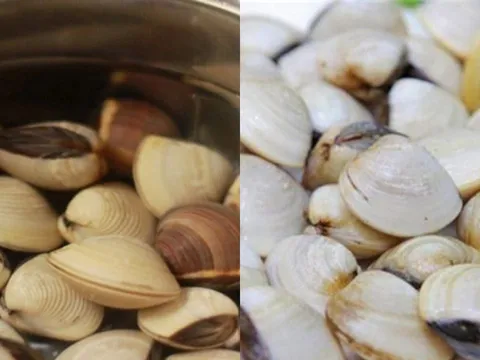 Ngâm ngao vào thứ nước này, ngao nhanh nhả sạch cát bẩn, thịt ngọt không tanh