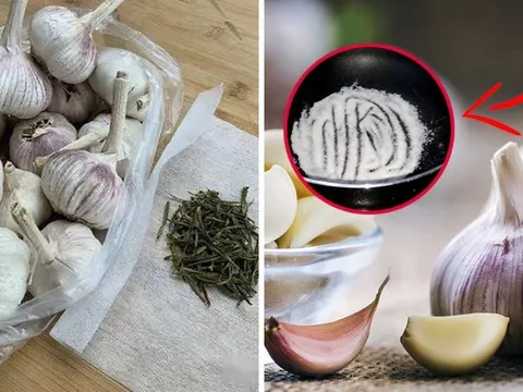 Tỏi tươi cả năm không hỏng chỉ nhờ 3 mẹo bảo quản đơn giản này: Ai cũng làm được