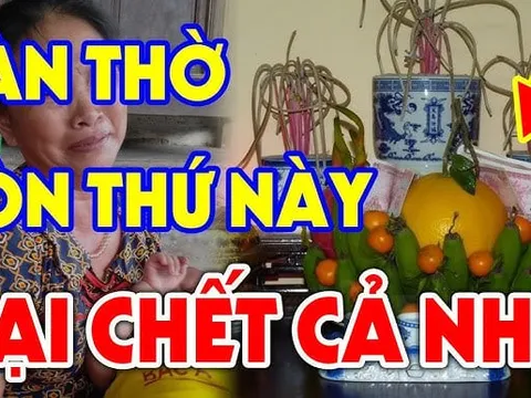 4 thứ càng để lâu trên bàn thờ Tổ Tiên Càng Tức Giận: Hạ ngay xuống trước khi quá muộn, đó là gì?